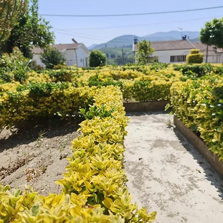 Casa Teles * 페소다레과