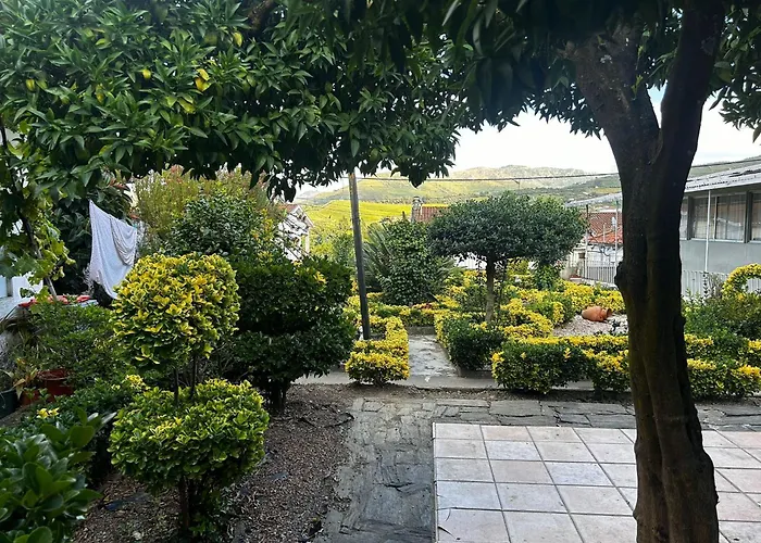 Casa Teles Peso da Régua